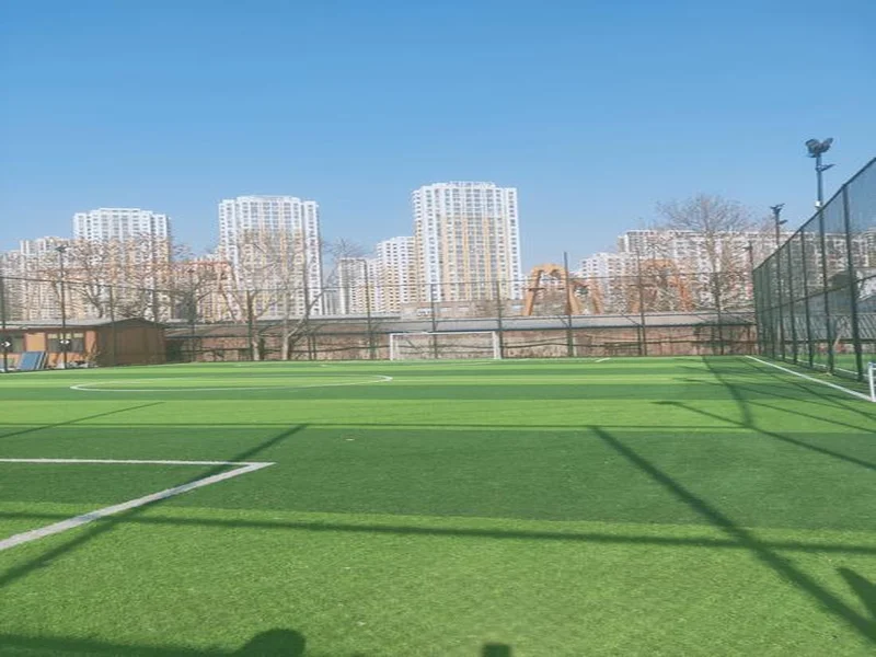 这不是圣詹姆斯公园吗？巴萨球迷去看欧冠打纽卡，误入埃克塞特同名主场